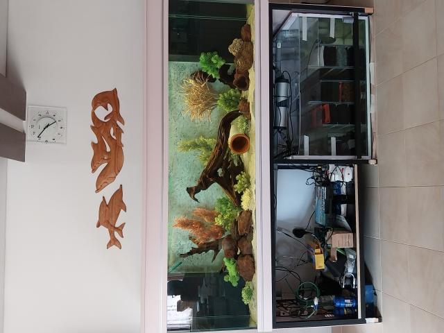 Photo bonjour grand aquarium a vendre de 840 litres avec meuble image 2/6