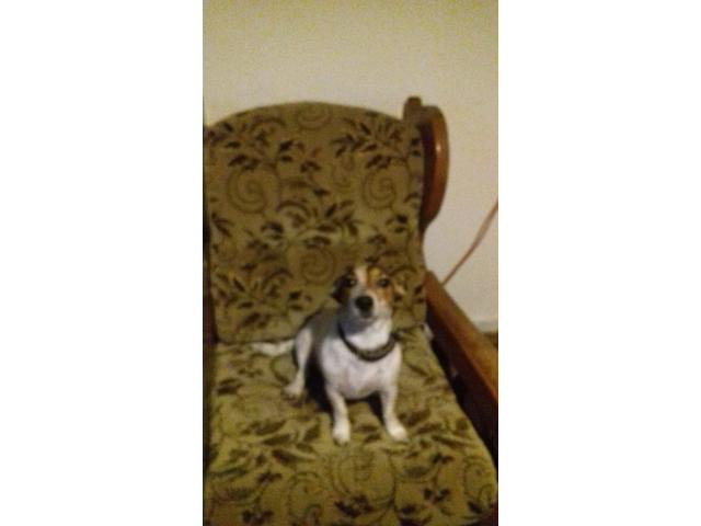 Photo Bonjour je cherche un studio avec cour s'en escalier sur Liège urgent image 2/3