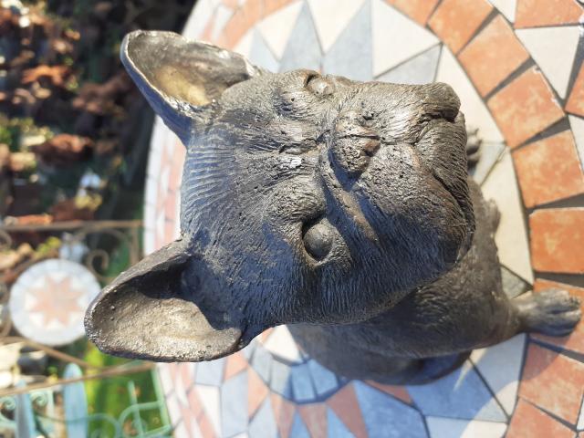 Photo BOULEDOGUE FRANCAIS EN BRONZE image 2/6
