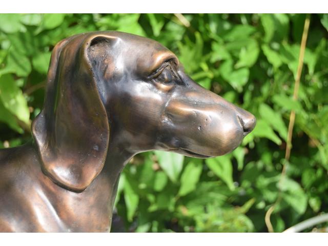 Photo Bronze animalier ,le teckel image 2/6