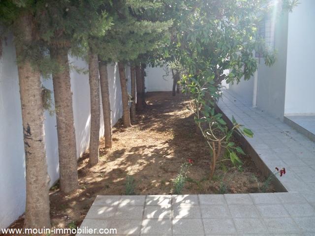 Photo Bungalow Ali AV1783 Hammamet zone theatre image 2/6