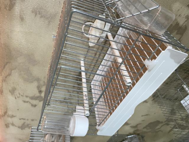 Photo Cage de chant comme neuf image 2/6