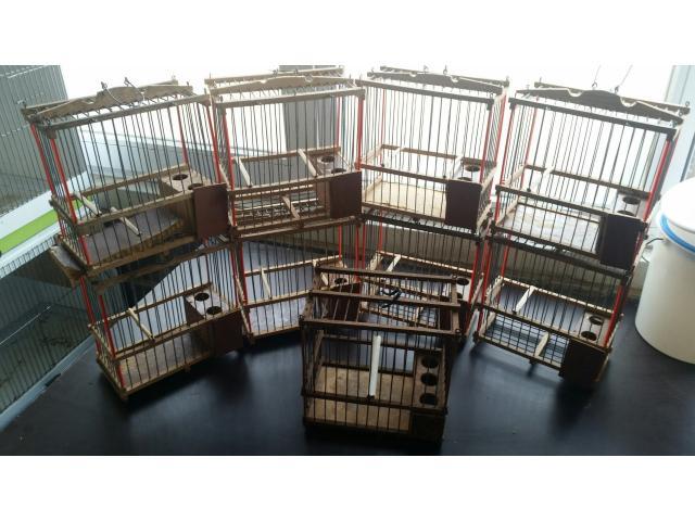 Photo cage espagnol image 2/3