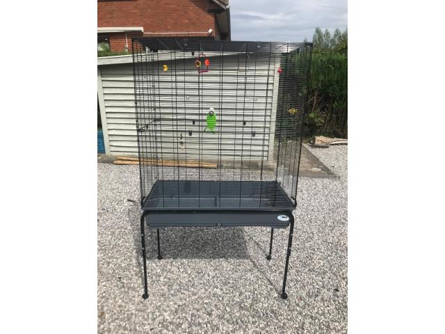 Photo Cage oiseau image 2/3