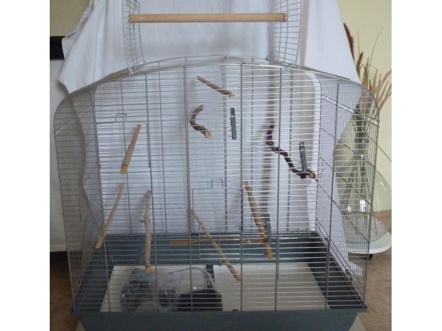 Photo Cage  oiseaux image 2/4