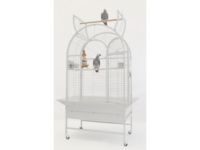 Photo Cage perroquet blanche design cage ara cage gris du gabon cage perroquet pas cher cage youyou cage a image 2/2