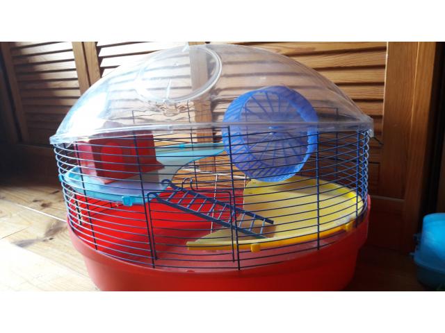 Photo Cages et accessoires pour hamsters/souris image 2/5