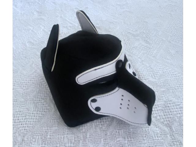 Photo Cagoule masque chien image 2/3