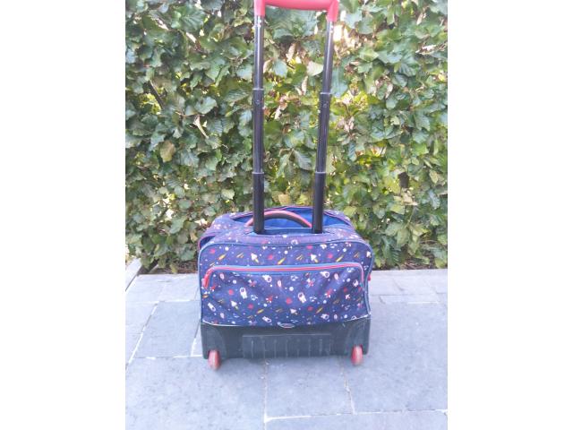 Photo Cartable trolley DELSEY image 2/6