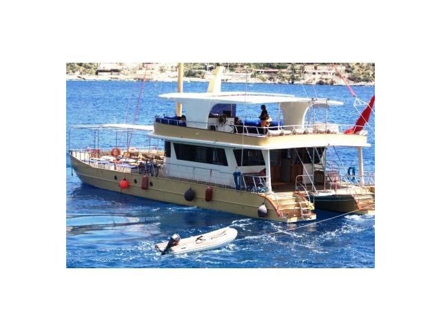 Photo Catamaran à moteurs de 20 x 8 m année 2016 pour les excursions Daily image 2/6