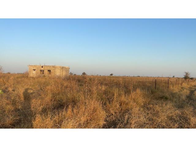 Photo Champ de 1 hectare et demi à vendre à Gudji Sénégal image 2/4