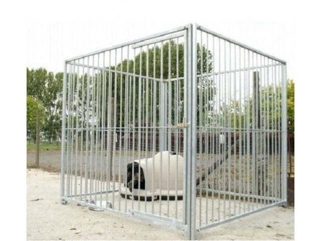 Photo Chenil à barreaux 40m² chenil XXL enclos chien parc chien chenil GEANT box chien image 2/4