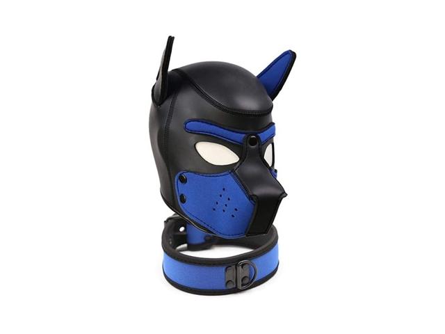 Photo cherche dom. pr. plan dog training image 2/2