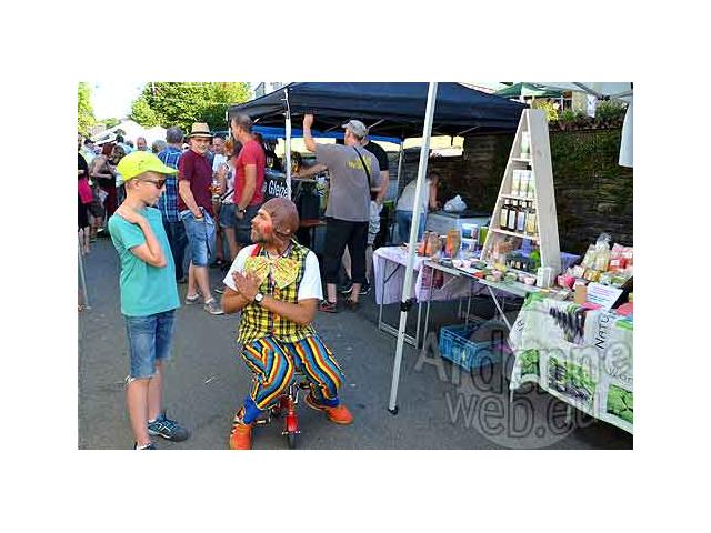 Photo Clown, anniversaires, spectacles, artistes de rue, statue vivante, échassier, faux serveur,... image 2/6