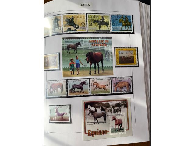 Photo Collection de timbres: thématique chevaux - 150 pages image 2/6