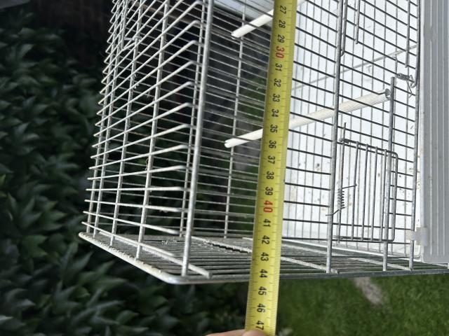 Photo Colonne 4 cages domus molinari image 2/5