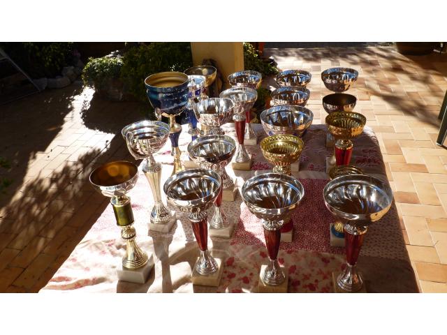 Photo COUPES  TROPHES  RECOMPENSES image 2/3