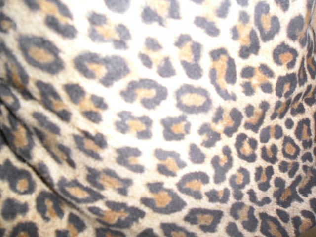 Photo Cuissardes noires intérieur léopard image 2/4