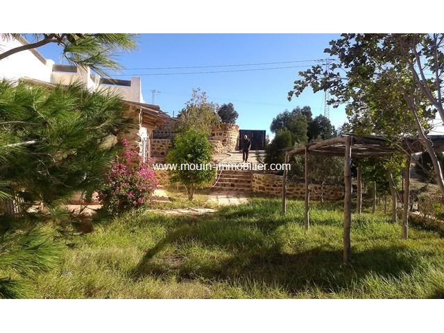 Photo Dar Aziz ef AV716 Hammamet Birbouregba image 2/6