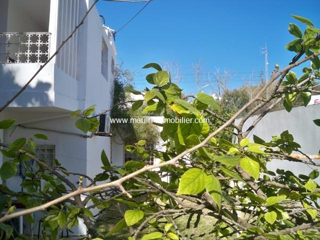 Photo Dar les Ficus réf AV986 Carthage image 2/3