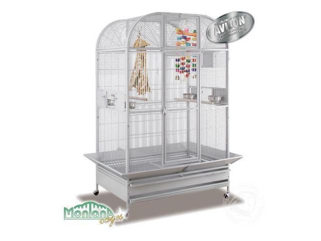 Photo Daytona Perruches cage platinium image 2/3