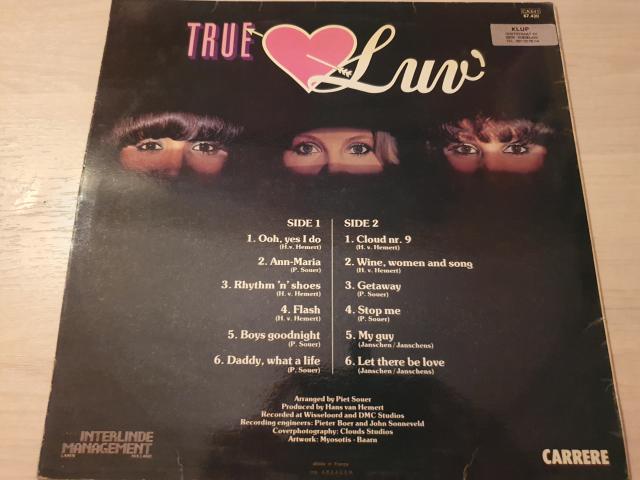 Photo Disque vinyl 33 tours true lov image 2/2