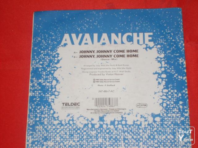 Photo Disque vinyl 45 tours avalanche johnny johnny come home image 2/2