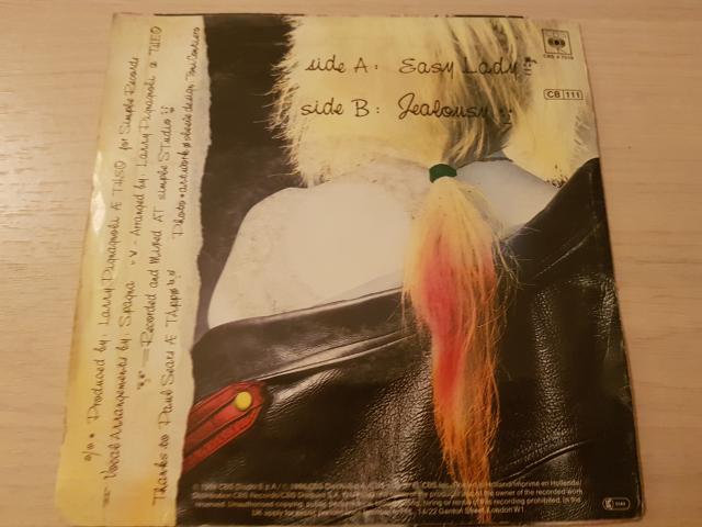 Photo disque vinyl 45 tours spagna easy lady image 2/2