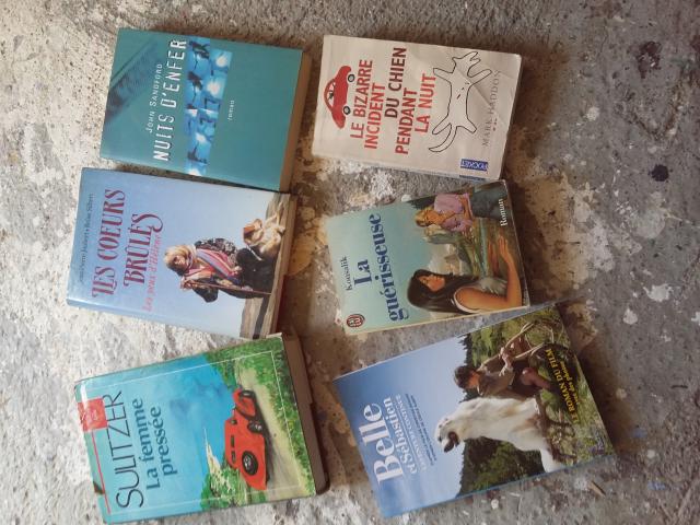 Photo Divers livres image 2/6