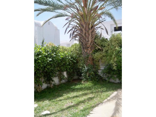 Photo Duplex Mariem 3 ref AL460 Hammamet zone theatre image 2/6