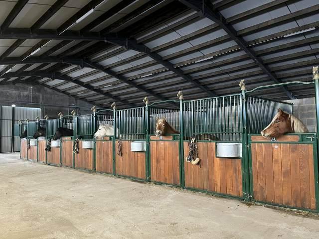 Photo Ecuries de Mesvin  Location de boxes- pension complète pour chevaux.. image 2/6