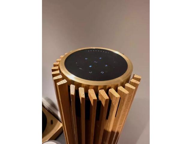 Photo Enceintes Bang & Olufsen BeoLab 28 ton or et chêne image 2/3