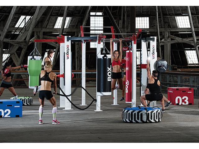 Photo ESCAPE FITNESS OCTAGON RIG image 2/5
