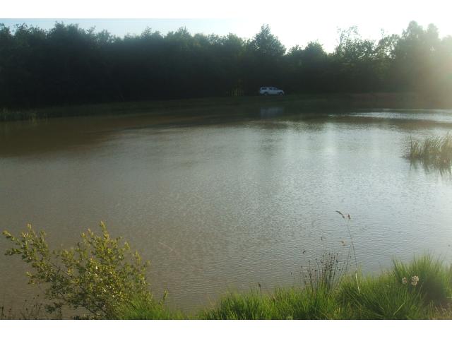 Photo étang  pour peche  et détente à l année à Roybon 38940 image 2/4