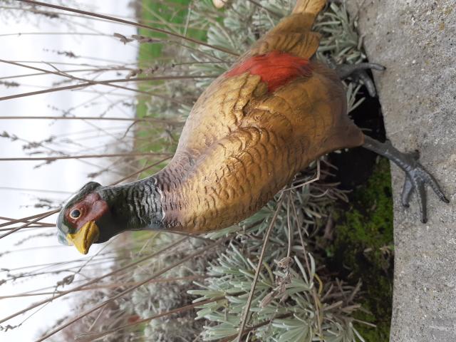 Photo FAISAN EN BRONZE DE VIENNE image 2/6