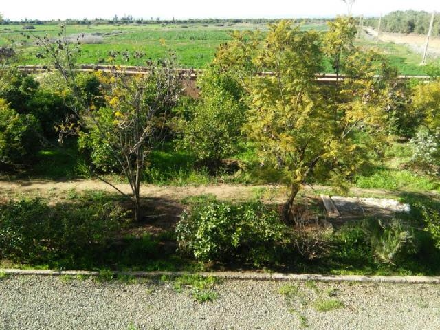 Photo Ferme a vendre region Marrakech image 2/6