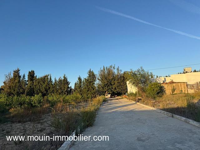 Photo FERME ASIL Borj Hfaiedh Beni Oueil T1206 image 2/6