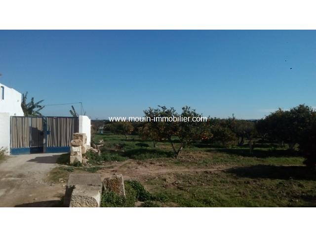 Photo Ferme Bouargoub ref T573 Nabeul image 2/3