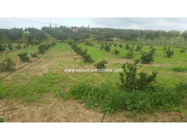 Photo Ferme La Colombe T 465 Mornag image 2/6