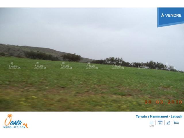Photo Ferme lattrach ref 959 image 2/5
