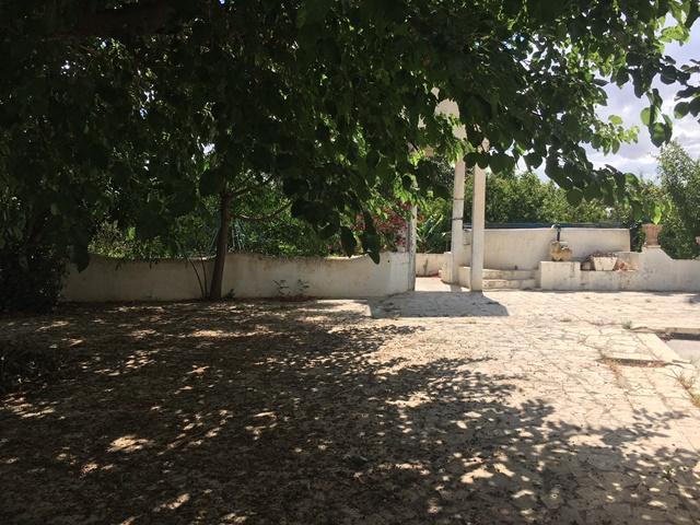 Photo FERME LES BOUGAINVILLIER Hammamet T515 image 2/6
