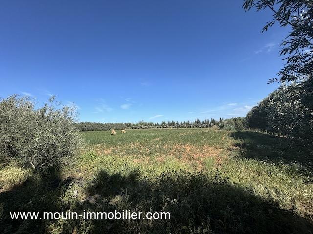 Photo FERME LES EMERAUDES Somaa Beni Khiar T1137 image 2/6