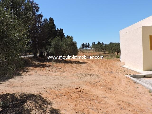 Photo Ferme Rayhana ref T531 Bir bouregba image 2/3