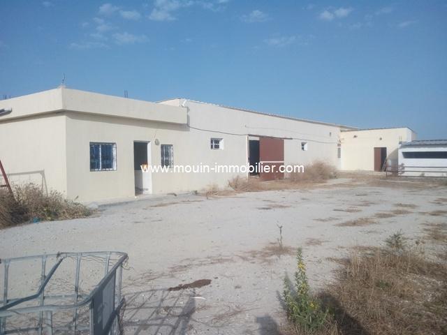 Photo Ferme Sidi Thabet T651 Ariana image 2/4