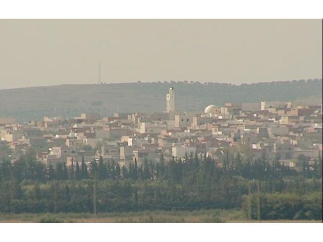 Photo Ferme Tebourba ref T463 Manouba image 2/4