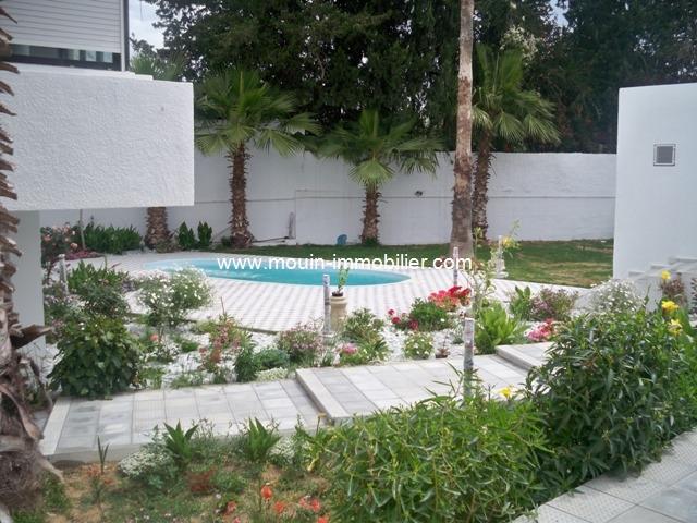 Photo flora hause AV763 saukra tunis image 2/6