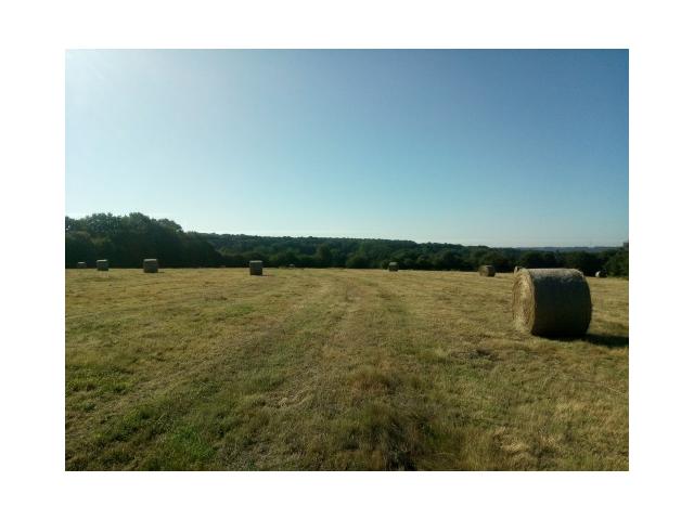 Photo Foin naturel image 2/2