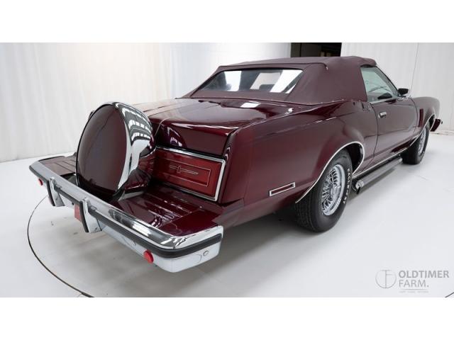 Photo Ford Thunderbird Seventh Generation Convertible '79 CH2752 image 2/6