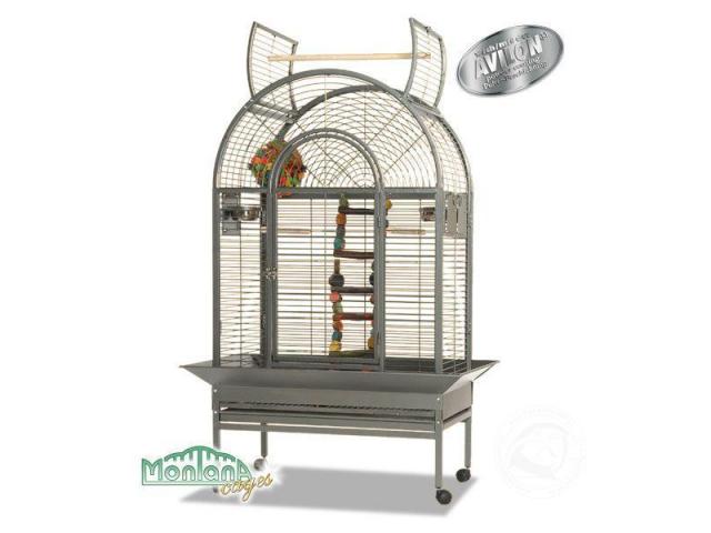 Photo Grenade perroquet couleur de la cage platinium image 2/3