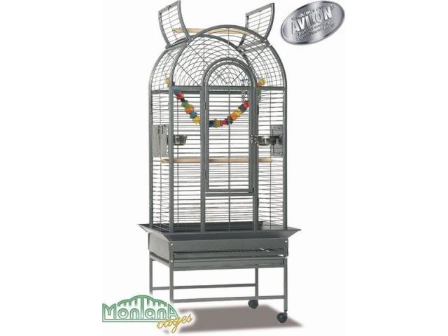 Photo haiti - perroquet cage platinium image 2/3